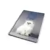 ÇINAR SEVİMLİ KEDİLER 72 YP ÇİZGİLİ PP KAPAK SPİRALLİ 71319
