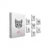 GIPTA LIFE IS COOL 19X26 120 YP KARELİ SPİRALLİ SERT KPK DEFTER 4683