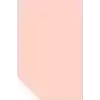 HERBOY HRB3109 FON KARTONU 50X70 SOMON 160 GR NO:14 100 LÜ