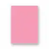 IQ FON KARTONU PEMBE 50X70 160 GR 100 LÜ PI25