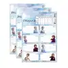 Keskin Frozen Iı 3 Lü Ders Programlı Etiket 220130