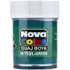 NOVA COLOR GUAJ BOYA YEŞİL ŞİŞE NC-106