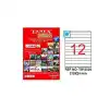 Tanex 210x24 Laser Etiket Tw-2524