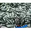 Balık Fiyat Etiketi Mandallı Siyah PVC Yaz-Sil 7,5x14 cm 10 Ad
