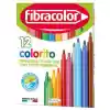 Fibracolor Colorito 12 Renk Keçeli Kalem Fc-10539sw012sc