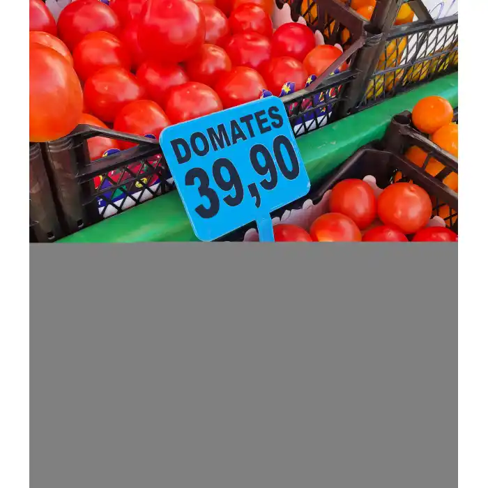 Saplamalı Plastik Pazarcı Etiketi Pazarcı Fiyat Etiketi Pazar Etiketi Açılı Eğimli Etiket MAVİ RENK 10 Ad. Büyük Boy