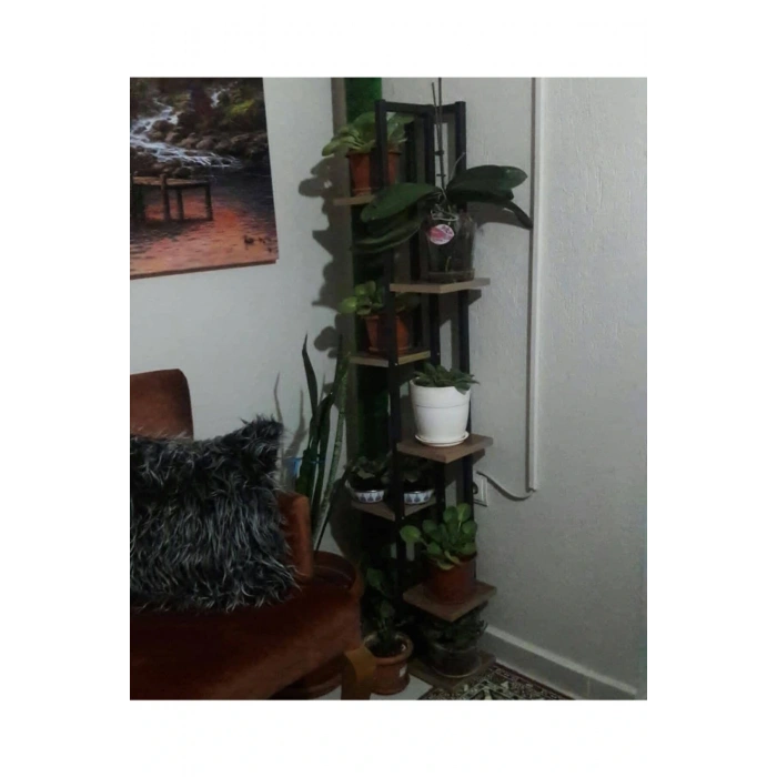 7 Bölmeli Çiçeklik, Saksılık, Çiçeklik Standı