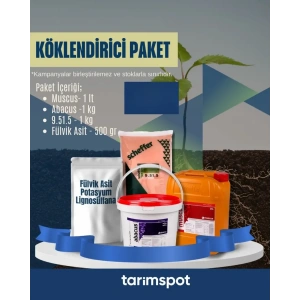 Köklendirici Paket
