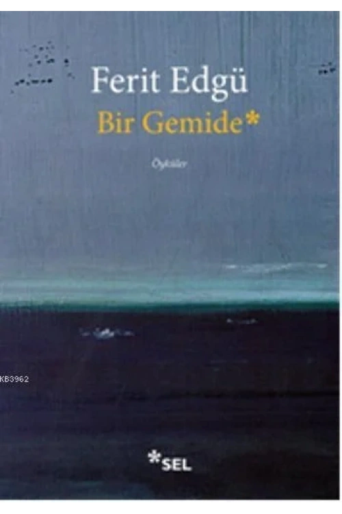 Bir Gemide
