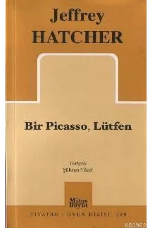 Bir Pıcasso, Lütfen