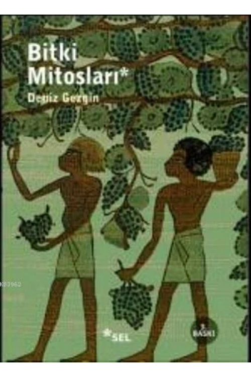 Bitki Mitosları