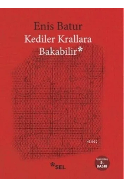 Kediler Krallara Bakabilir