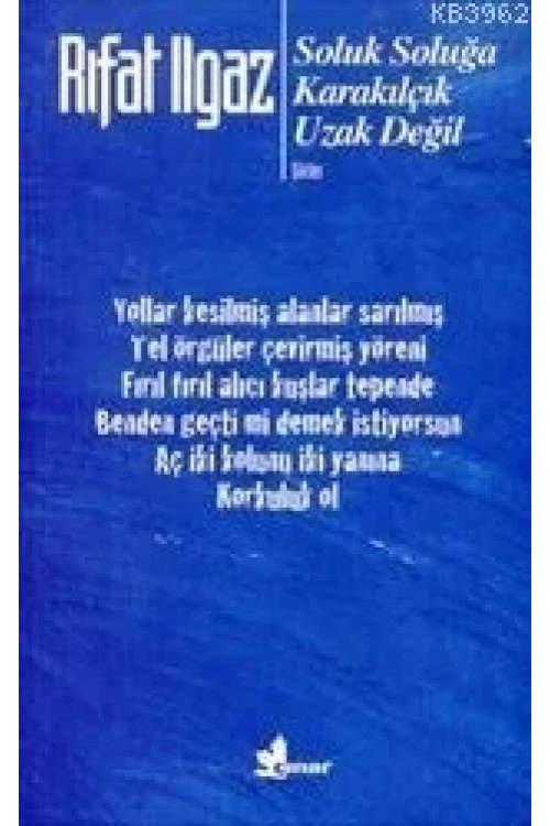 Soluk Soluğa / Karakılçık / Uzak Değil