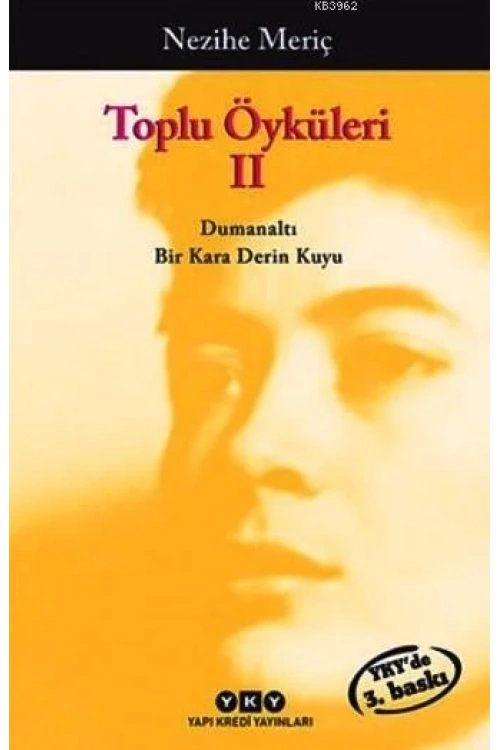Toplu Öyküleri 2; Bütün Yapıtlarına Doğru