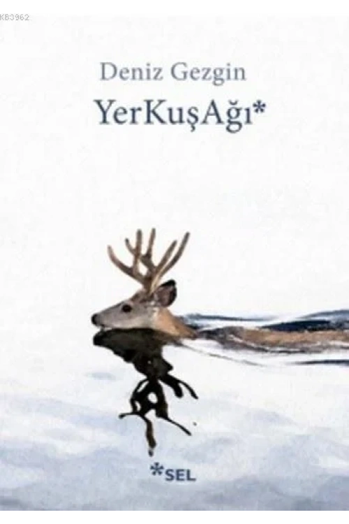YerKuşAğı