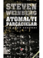 Atomaltı Parçacıklar; Bir Keşif Serüveni