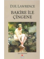 Bakire ile Çingene