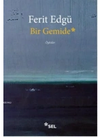 Bir Gemide