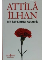 Bir Sap Kırmızı Karanfil Cumhuriyet Söyleşileri (Eylül 96 - Mart 97)
