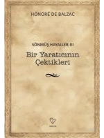 Bir Yaratıcının Çektikleri - Sönmüş Hayaller 3