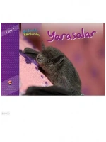 Bir Zamanlar Korkardım - Yarasalar