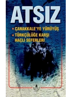 Çanakkaleye Yürüyüş; Türkçülüğe Karşı Haçlı Seferleri