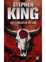Çılgınlığın Ötesi