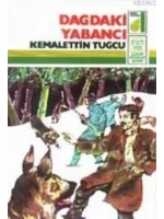 Dağdaki Yabancı