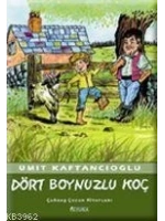 Dört Boynuzlu Koç