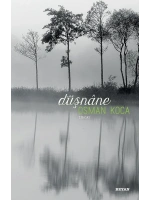 Düşnane