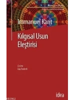 Kılgısal Usun Eleştirisi