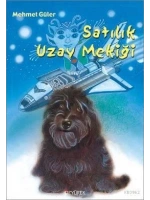 Satılık Uzay Mekiği