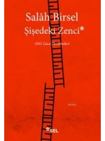 Şişedeki Zenci; 1001 Gece Denemeleri