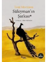 Süleymanın Şarkısı