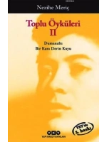 Toplu Öyküleri 2; Bütün Yapıtlarına Doğru