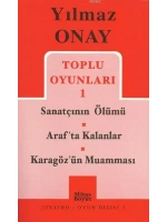 Toplu Oyunları 1 Sanatçının Ölümü / Arafta Kalanlar / Karagözün Muamması
