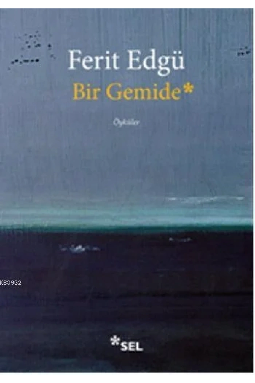 Bir Gemide
