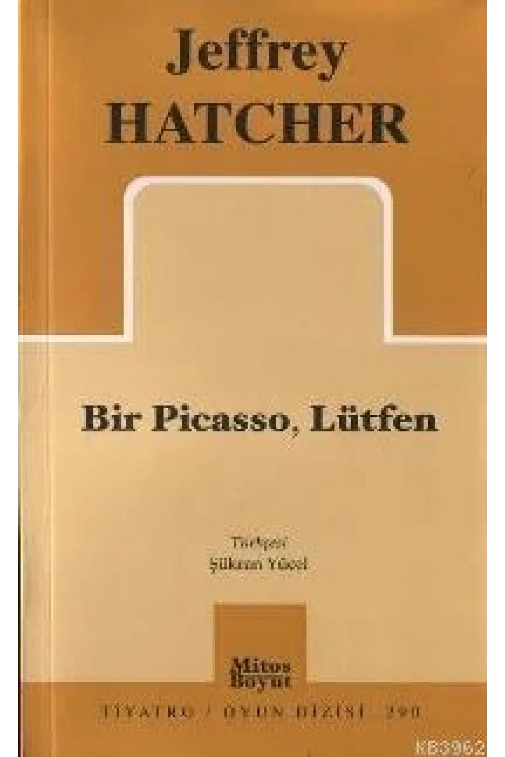 Bir Pıcasso, Lütfen