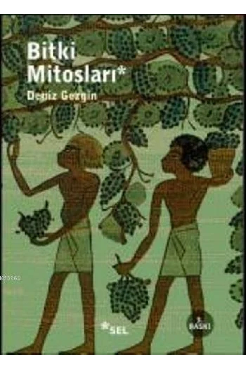 Bitki Mitosları
