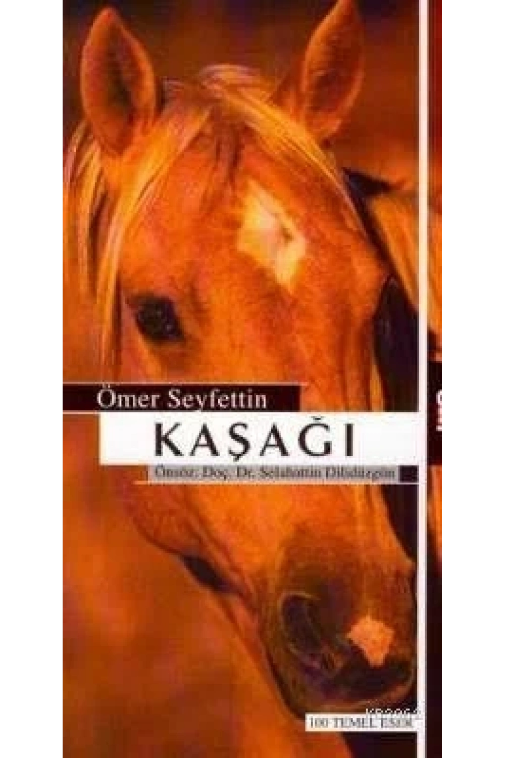 Kaşağı