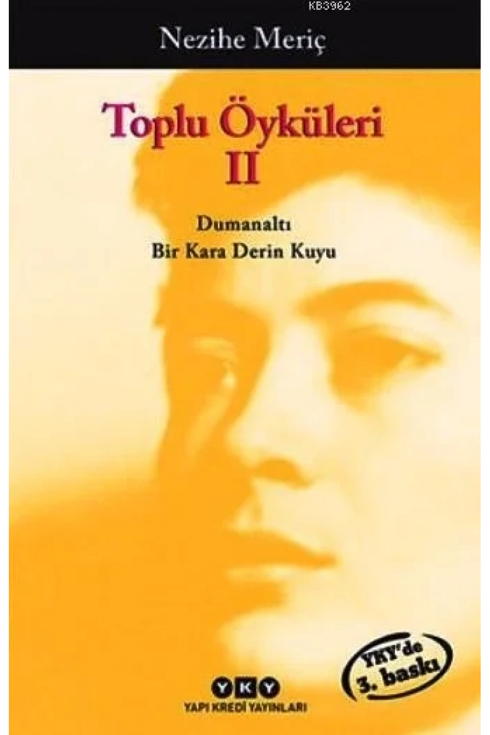 Toplu Öyküleri 2; Bütün Yapıtlarına Doğru