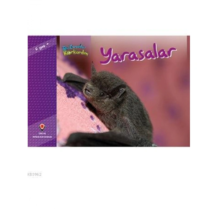 Bir Zamanlar Korkardım - Yarasalar