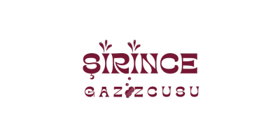 Mürver Çiceği Yararları Nelerdir