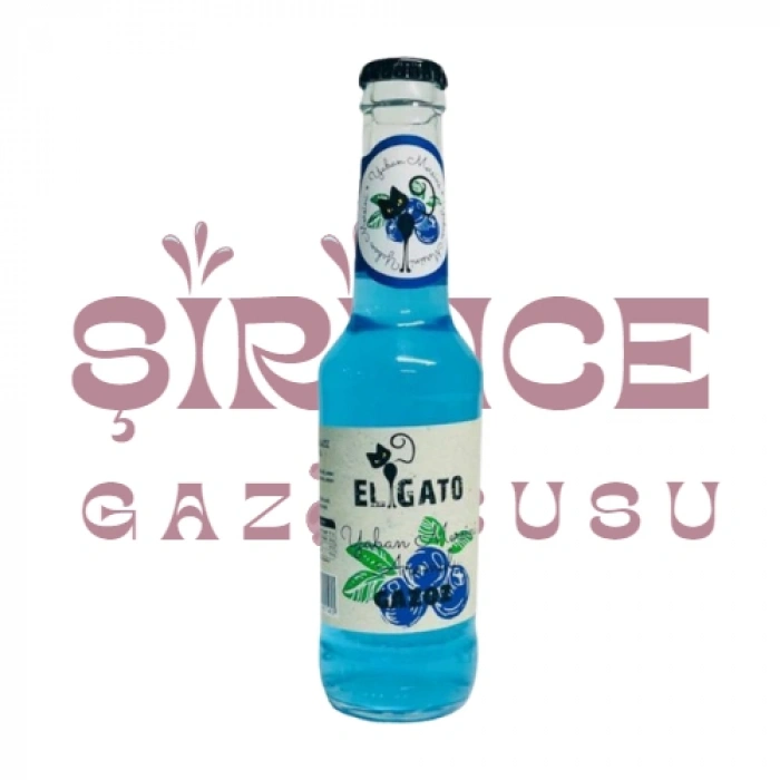 Elgato Gazoz Yaban Mersini
