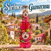 Bucak Gazoz Melli İncir 250 ml – 24 Adet