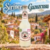 Bucak Gazozu Salep 250 ml – 24 Adet