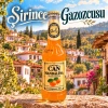 Can Gazoz Mandalina 250 ml – 24 Adet