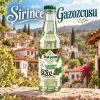Datçam Gazoz Çam Havası 200 ml – 24 Adet