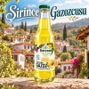 Datçam Gazoz Kavun 200 ml – 24 Adet
