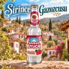 Davraz Kuyucak Gazoz Frambuaz 250 ml – 24 Adet